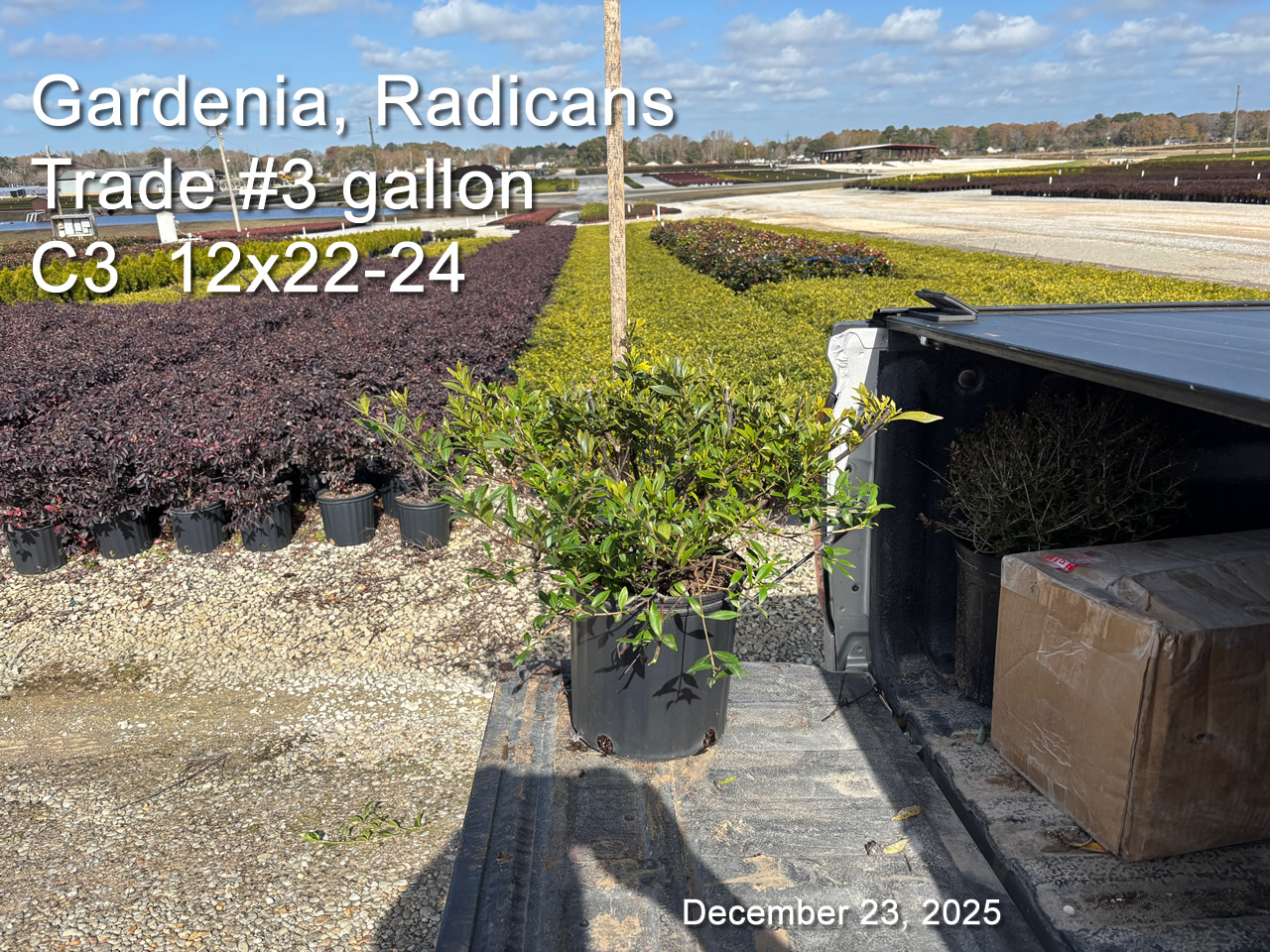 gallery/grad3t c3 dec23.jpg